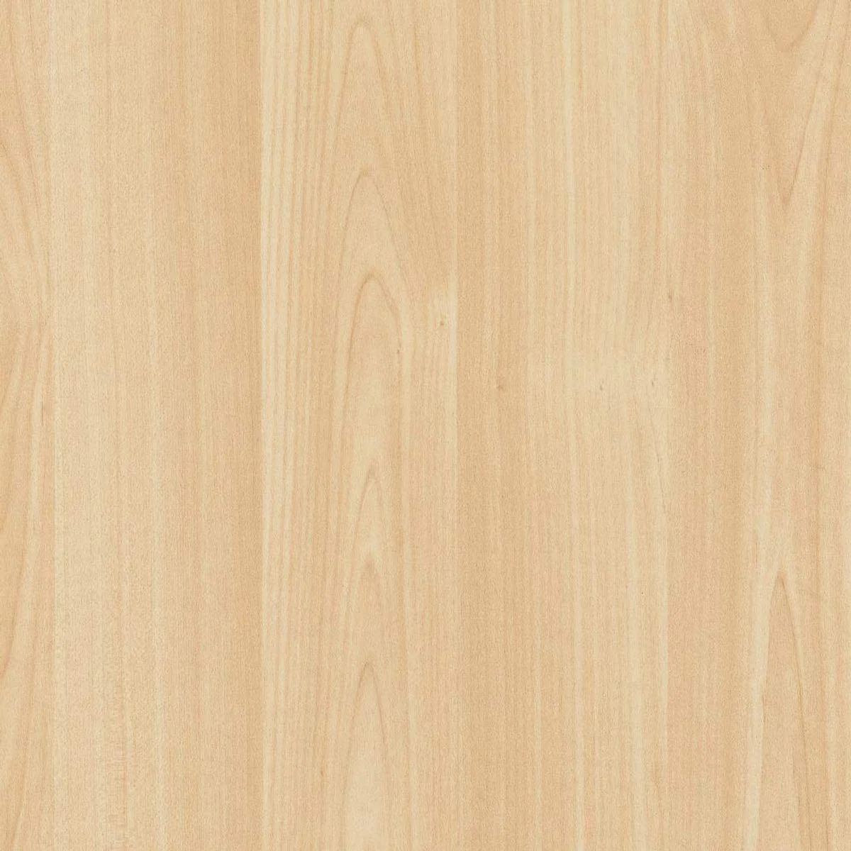 AG Self Adhesive Film Maple 67 5cm x 2m - Image 3