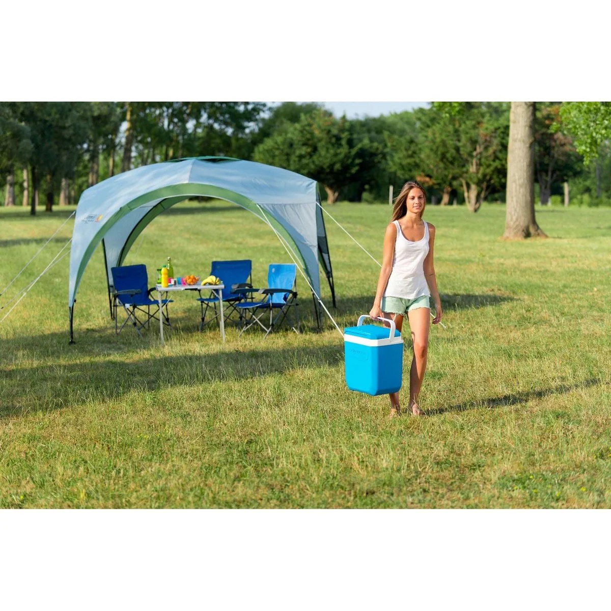Campingaz Cooler Cool Box IceTime Plus 26L Camping Caravan Picnic Fishing - Image 4