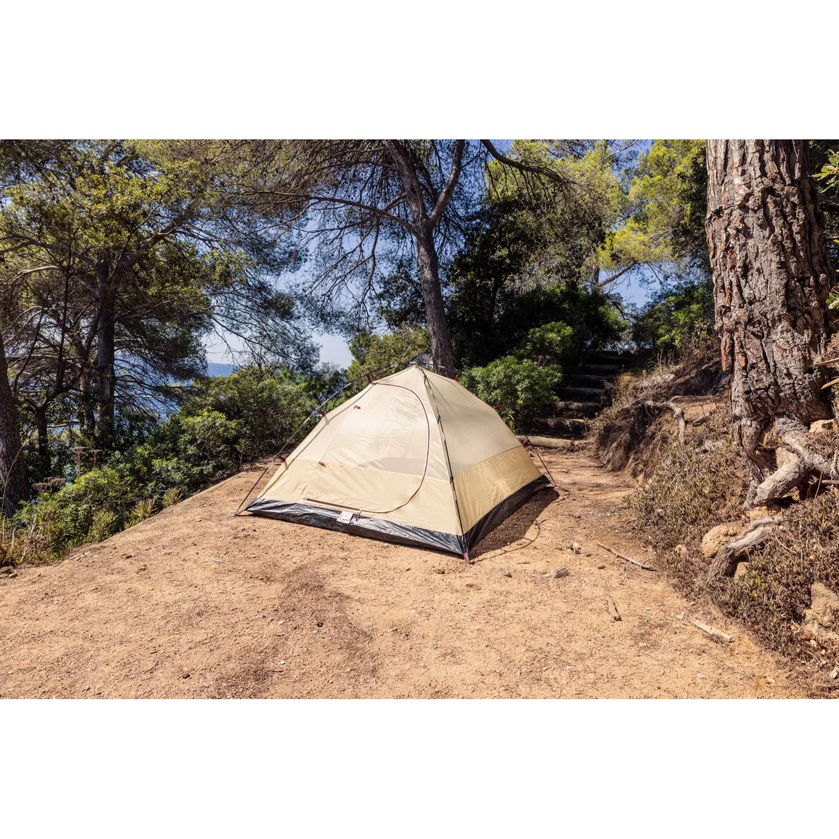 Coleman Darwin Summer 3 Tent 3 Berth - Image 19