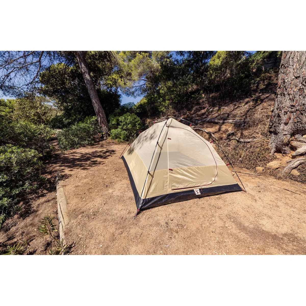 Coleman Darwin Summer 3 Tent 3 Berth - Image 20