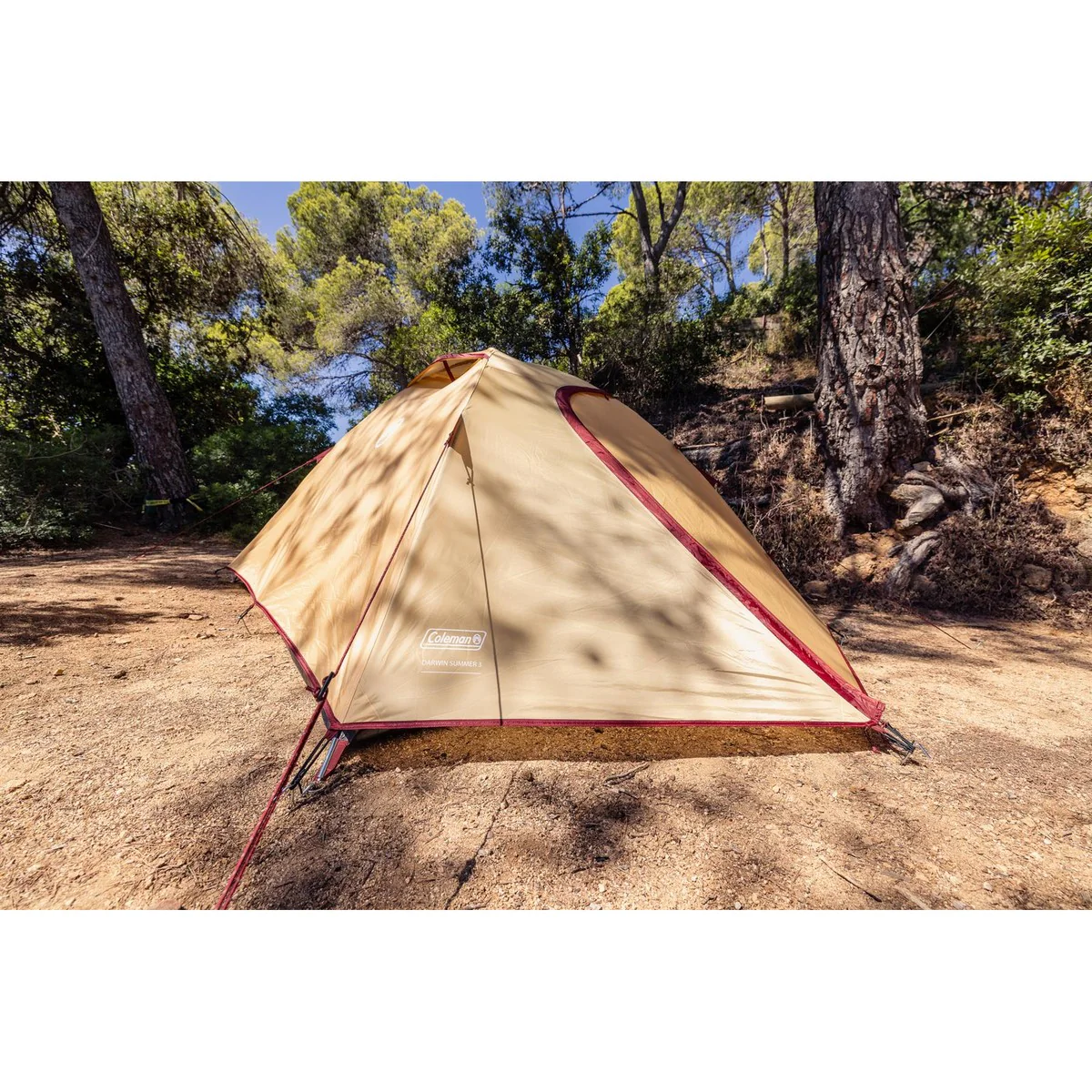 Coleman Darwin Summer 3 Tent 3 Berth - Image 24