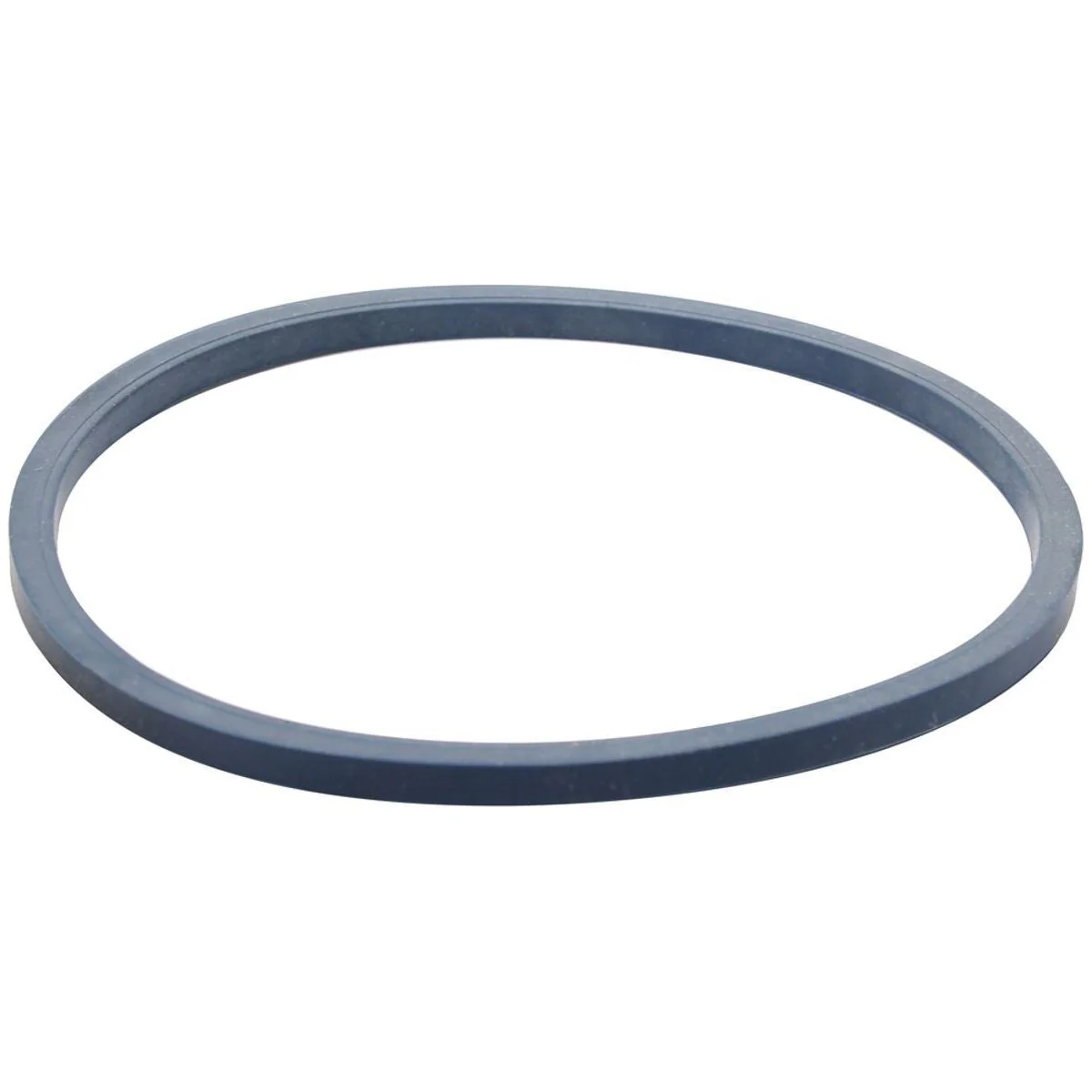 Housing Gasket Anti-Microbial for RV Water Filters