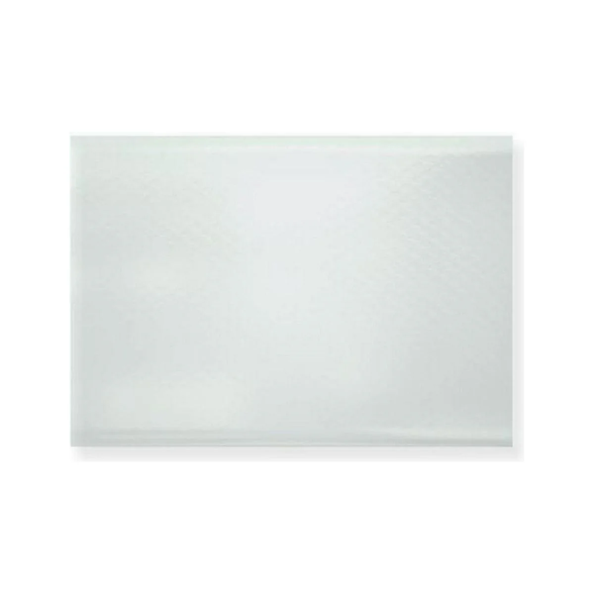 Inner Door Glass Kit (SSPA0257) - Perfect for Replacing Broken Glass