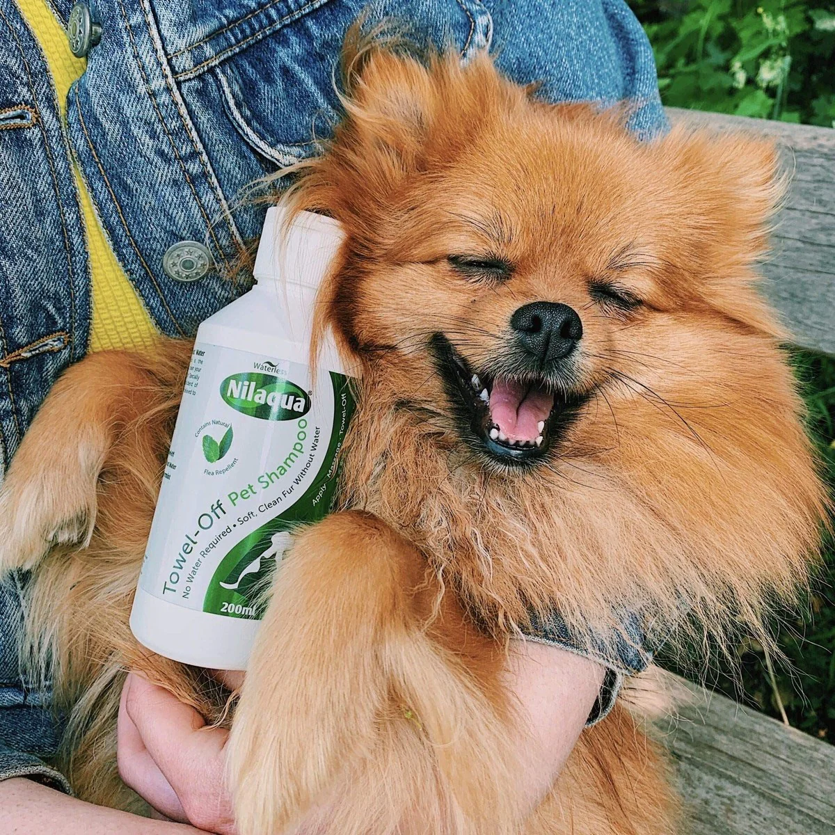 Peppermint & Teatree Pet Shampoo 200Ml TOFS200 - Image 2