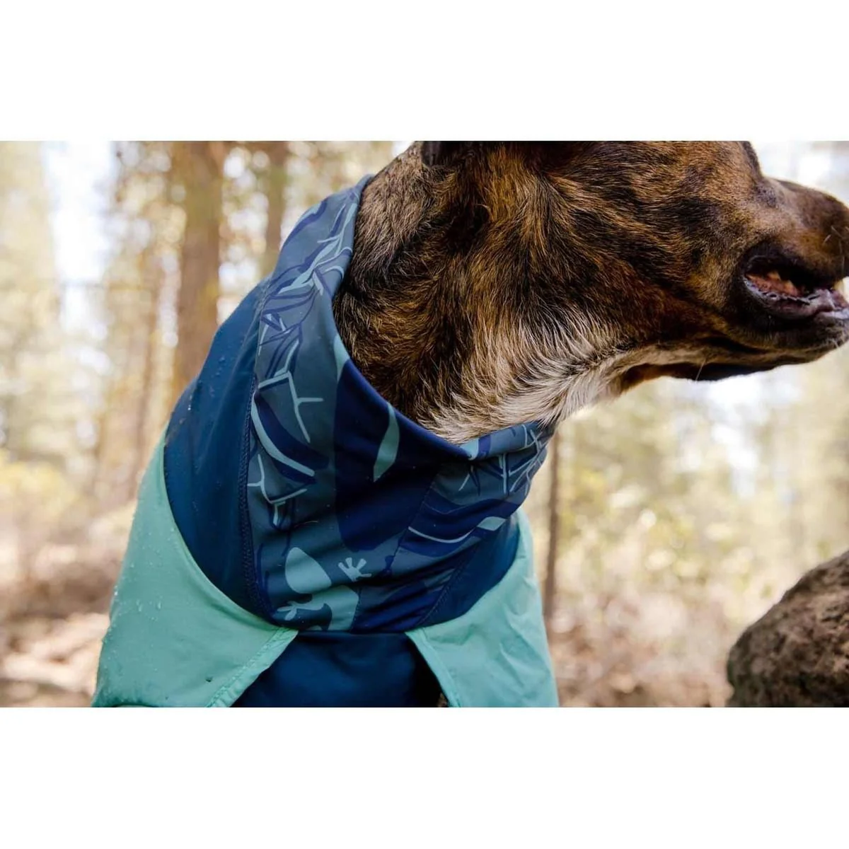 Ruffwear Dirtbag Dog Towel Aurora Teal (Large) - Image 8