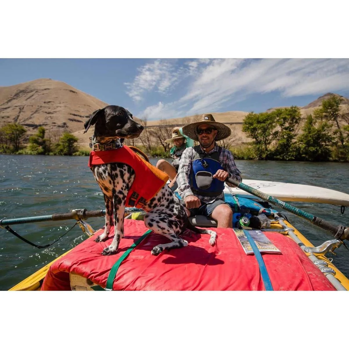 Ruffwear Float Coat Dog Buoyancy Aid in Wave Orange (Medium) - Image 3