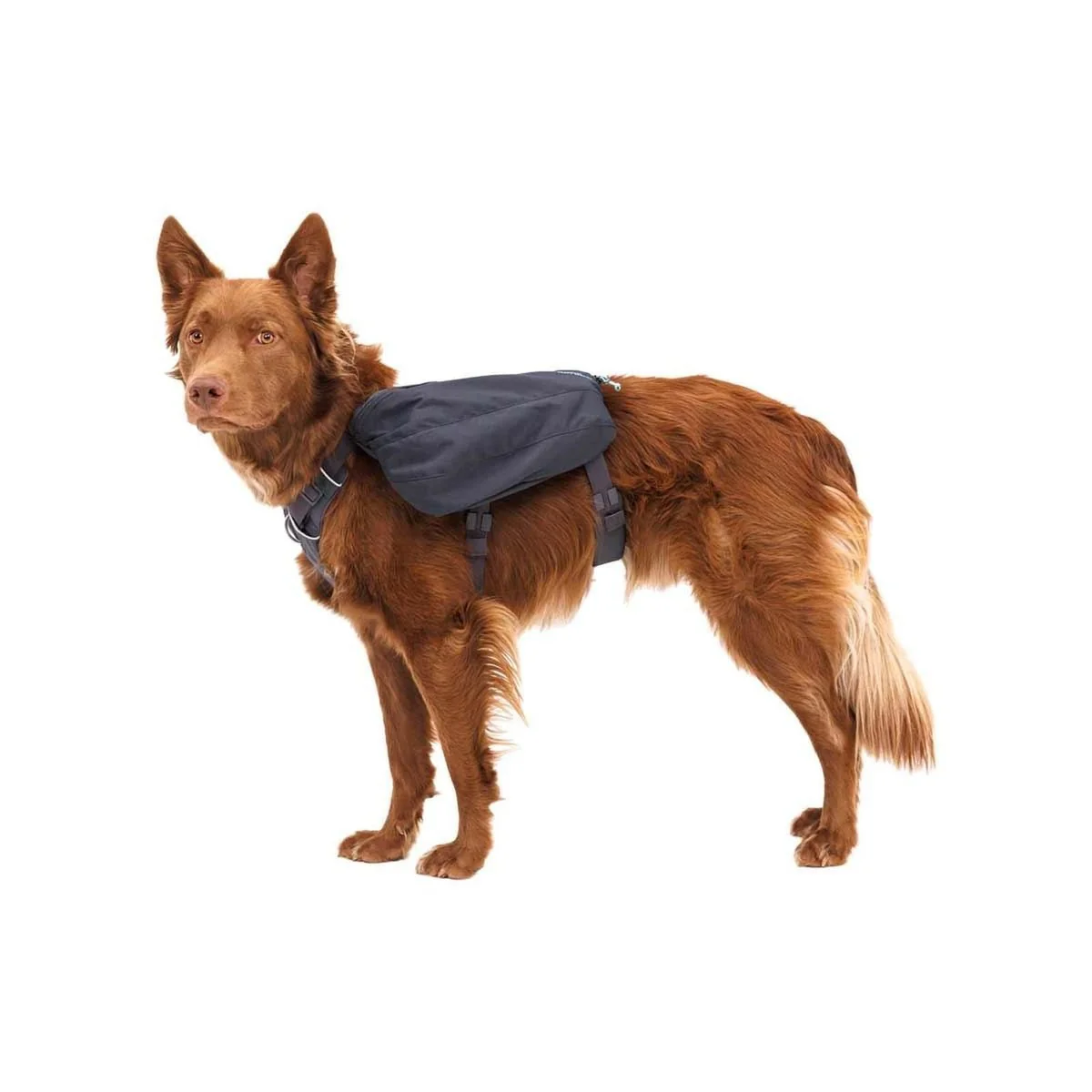 Ruffwear Front Range Dog Day Pack in Basalt Grey (L / XL) - Image 3