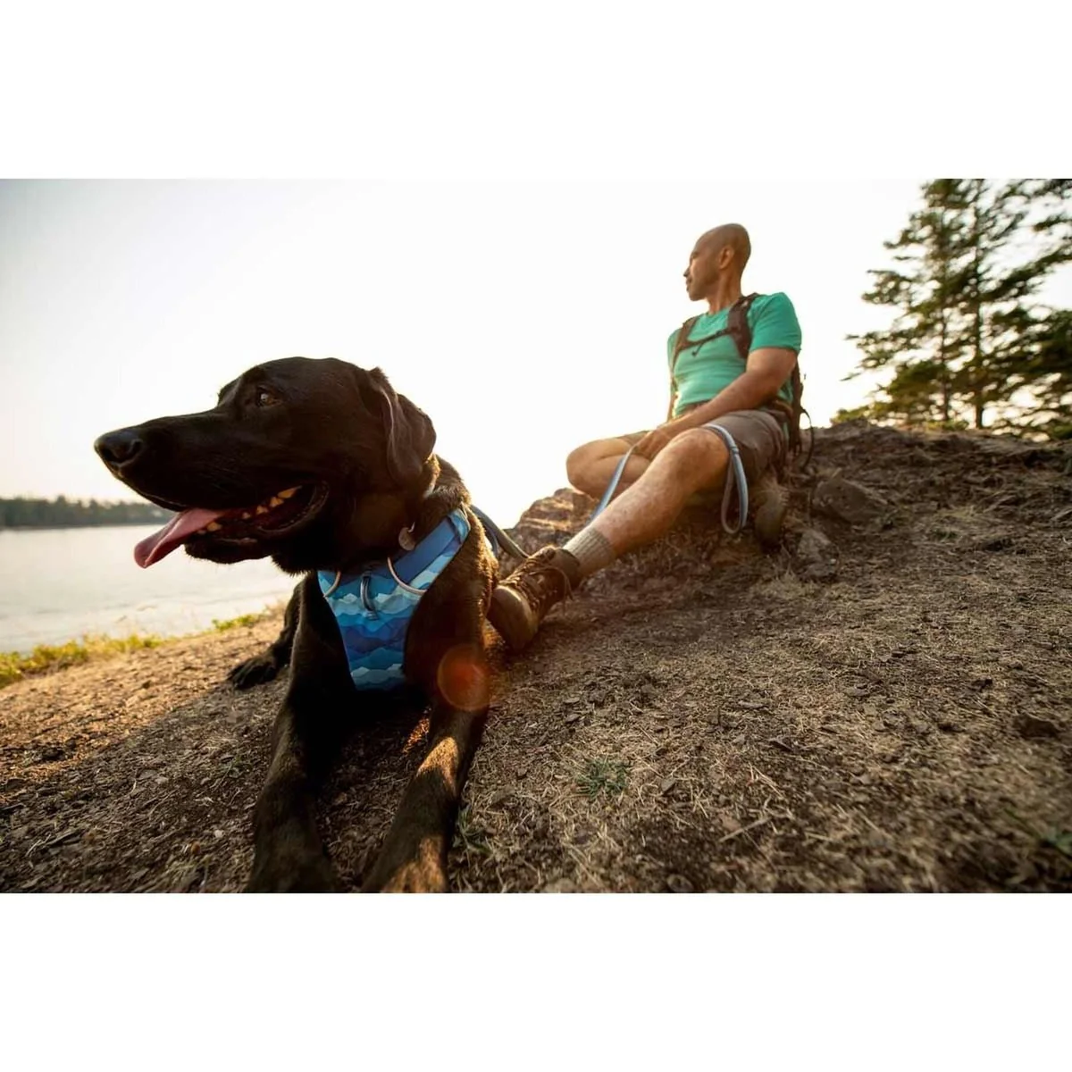 Ruffwear Front Range Dog Harness - Coastal Mountains Print (Small) - Image 2