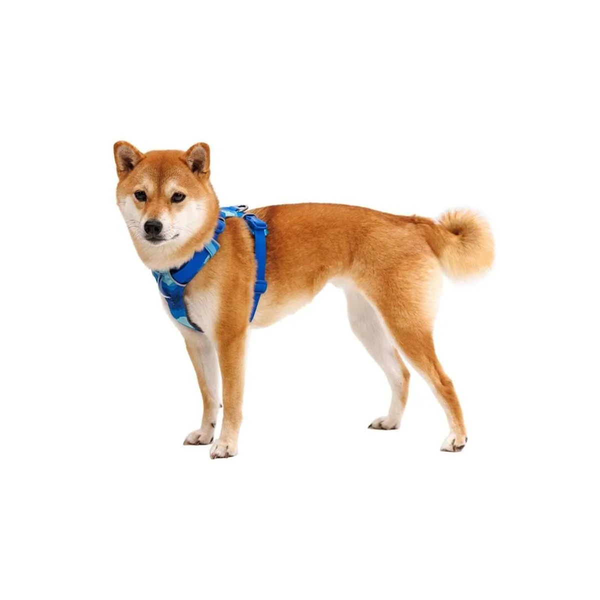 Ruffwear Front Range Dog Harness - Coastal Mountains Print (X Small) - Image 3