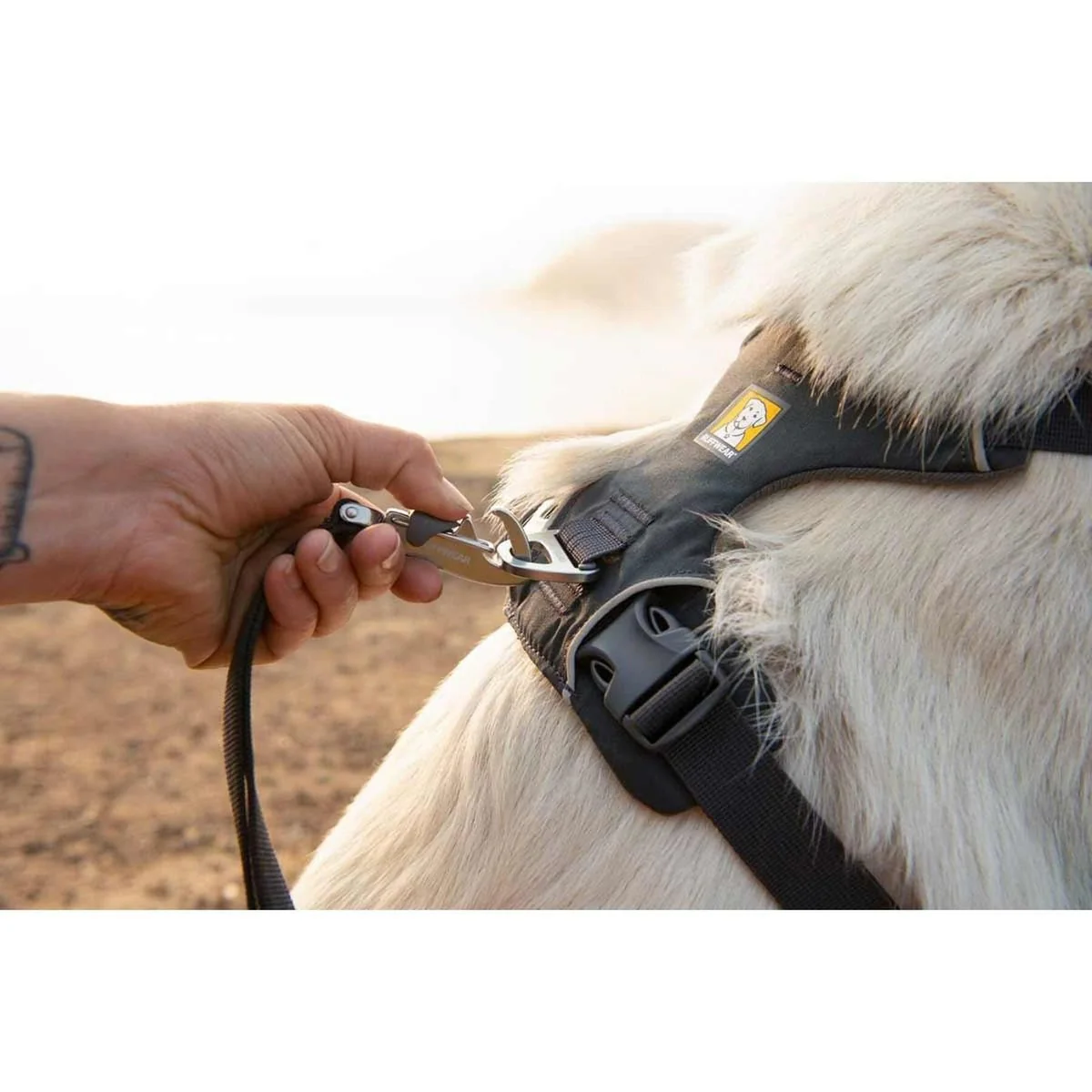 Ruffwear Front Range Dog Harness in Basalt Grey (L / XL) - Image 2