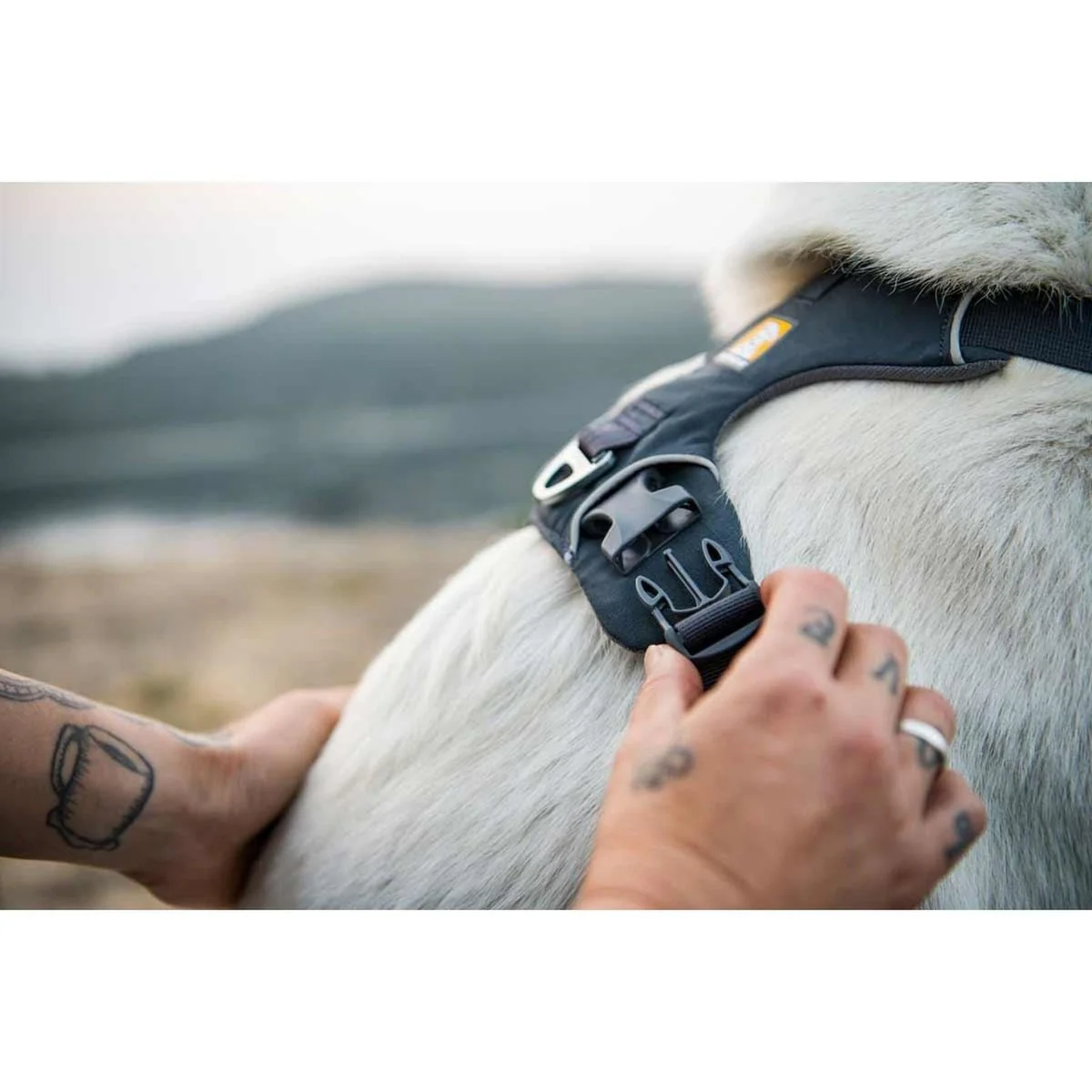 Ruffwear Front Range Dog Harness in Basalt Grey (L / XL) - Image 3
