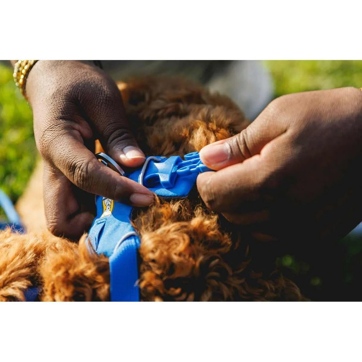 Ruffwear Front Range Dog Harness in Blue Pool (X Small) - Image 2