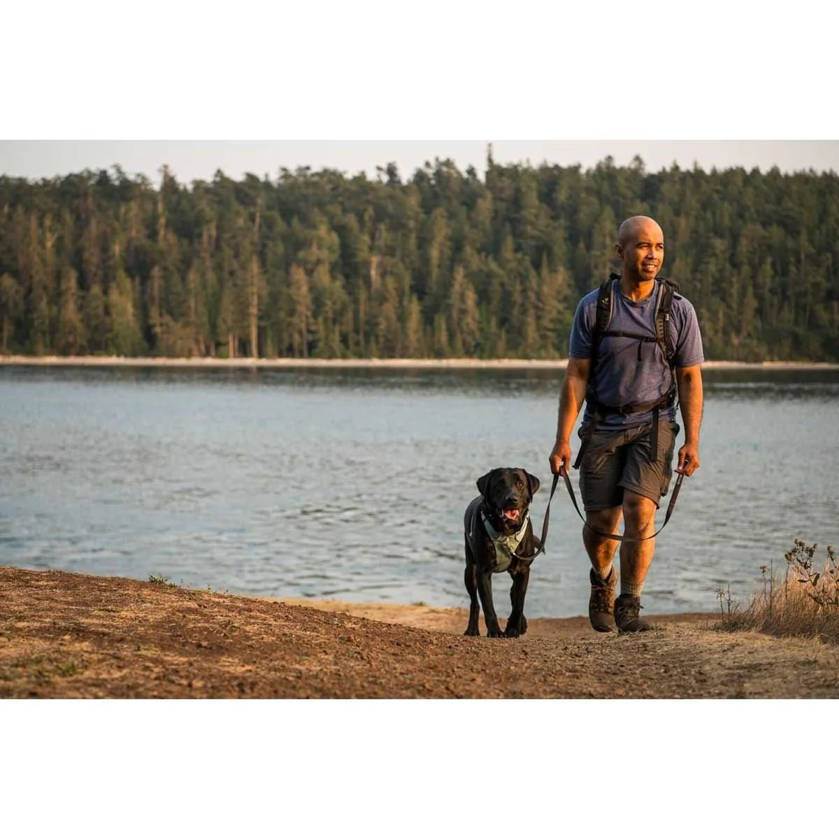 Ruffwear Front Range Dog Harness in River Rock Green (Medium) - Image 2