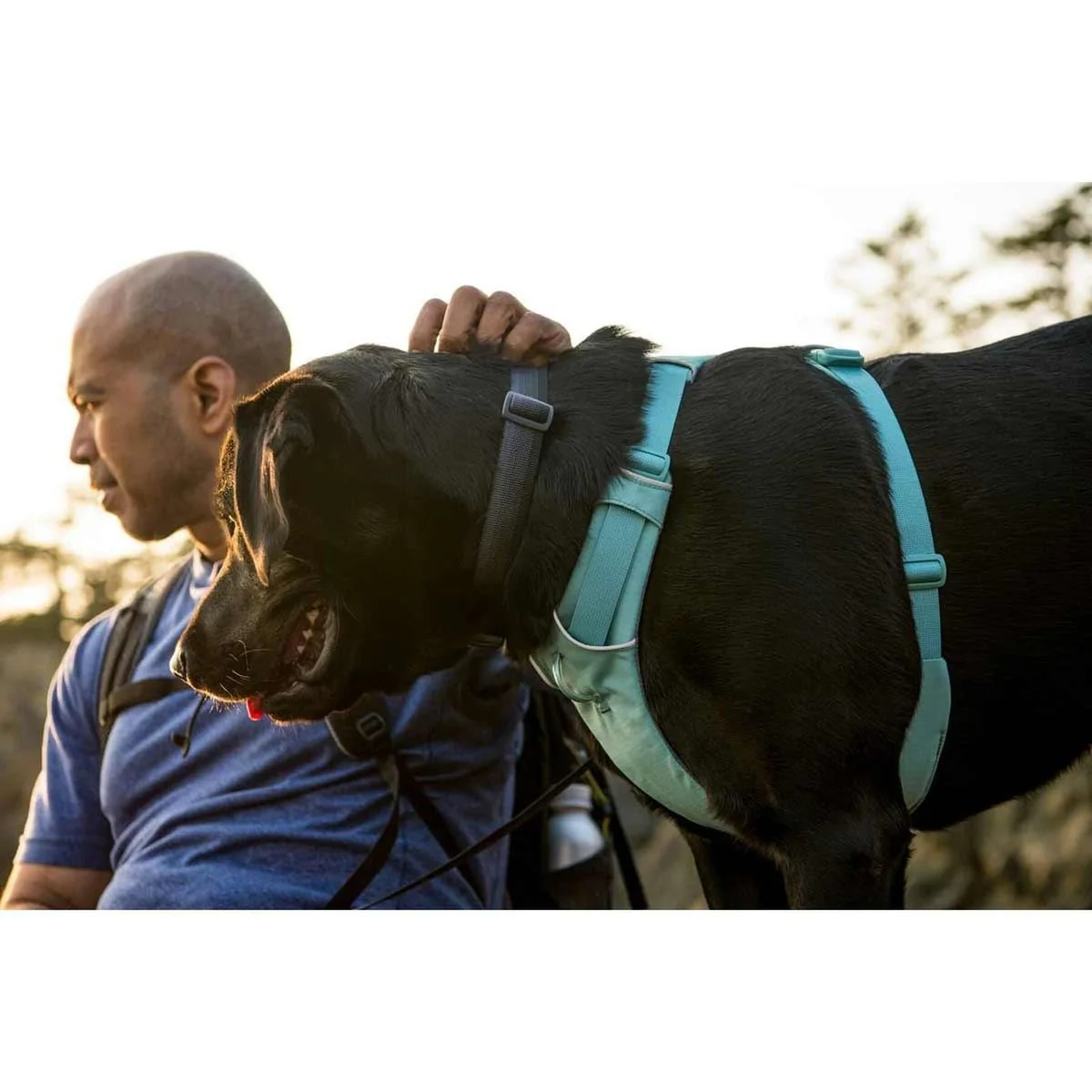 Ruffwear Front Range Dog Harness in River Rock Green (Small) - Image 3