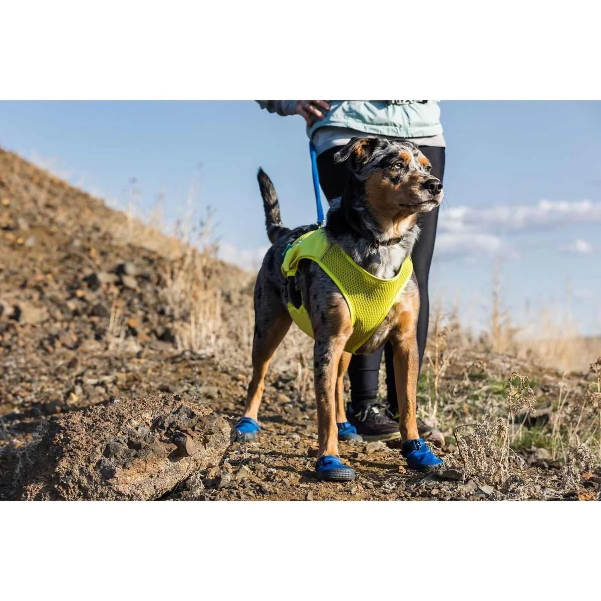 Ruffwear Hi & Light Trail Shoes in Blue Pool 70mm (Pair) - Image 6