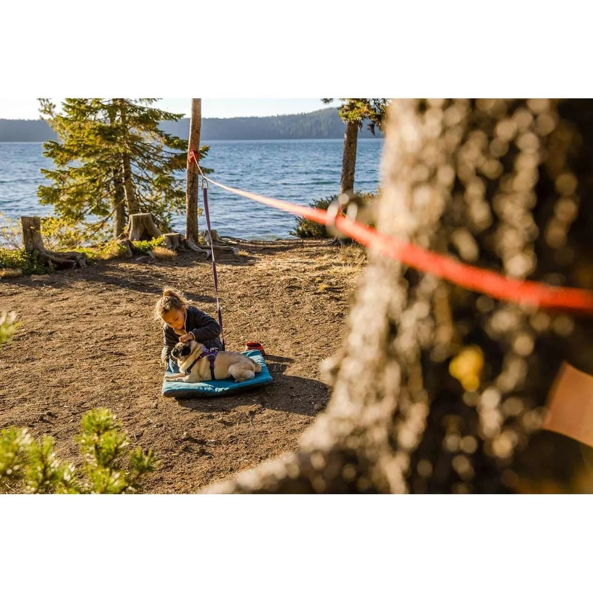 Ruffwear Knot-a-Hitch in Red Clay (One Size) - Image 3
