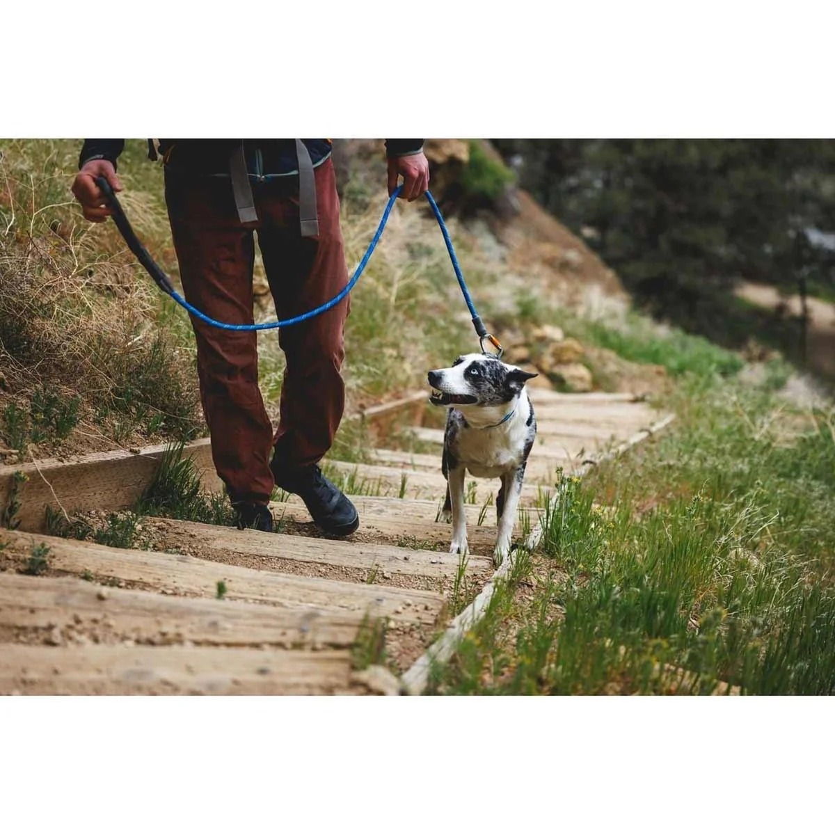 Ruffwear Knot-a-Leash Dog Lead in Blue Pool (Large) - Image 3