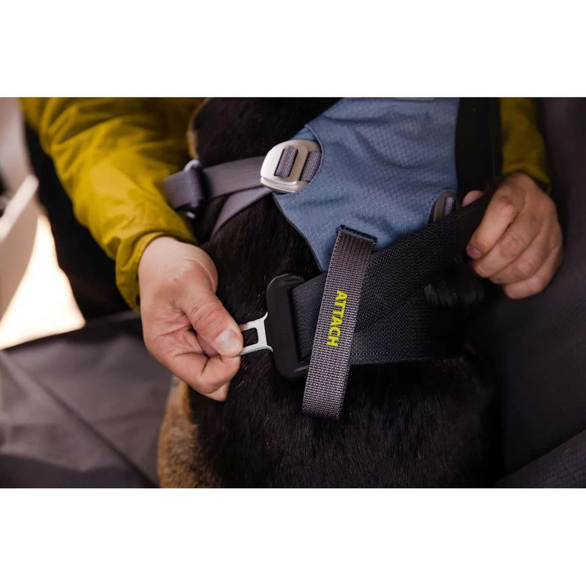 Ruffwear Load Up Dog Car Harness in Slate Blue (Medium) - Image 4