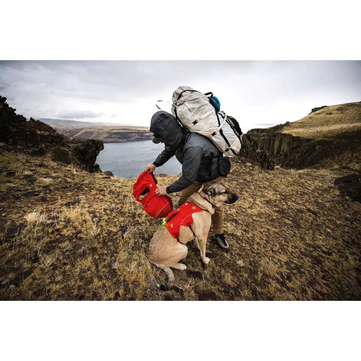 Ruffwear Palisades Dog Backpack in Red Sumac (L / XL) - Image 7