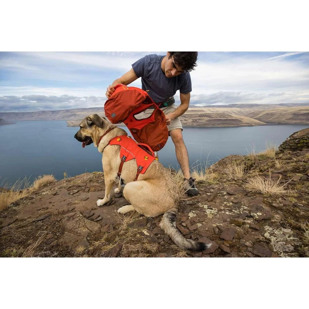 Ruffwear Palisades Dog Backpack in Red Sumac (L / XL) - Image 8