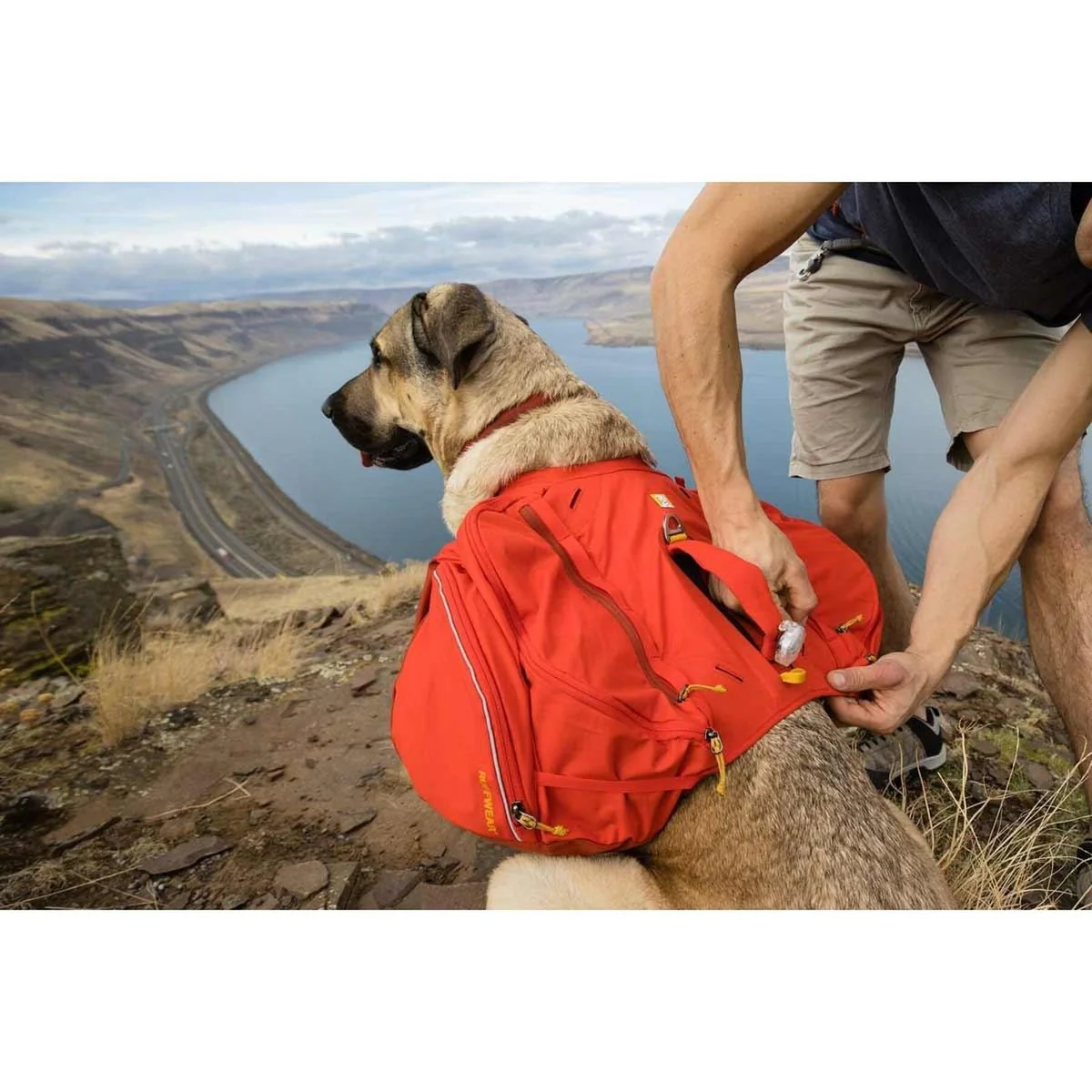Ruffwear Palisades Dog Backpack in Red Sumac (L / XL) - Image 9