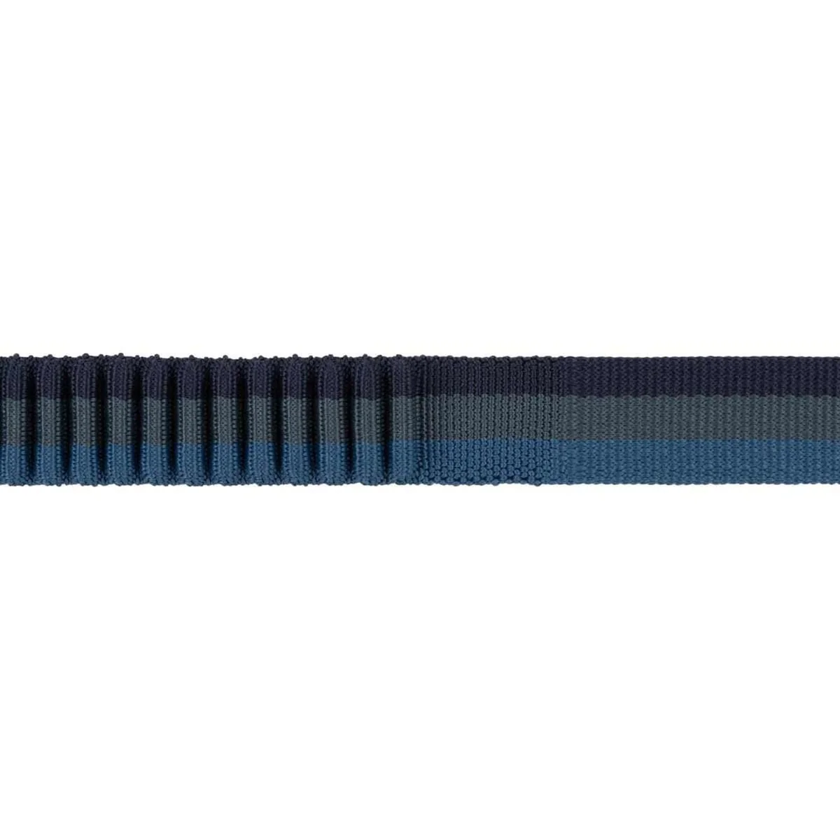 Ruffwear Roamer Bungee Dog Running Lead in Orion Blue (2.2 to 3.4m) - Image 2