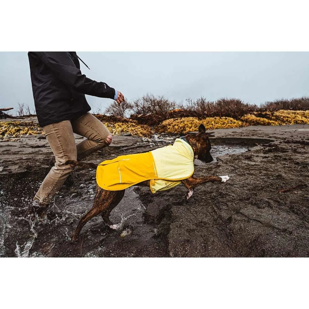 Ruffwear Sun Shower Dog Raincoat in Mineral Yellow (X Small) - Image 9