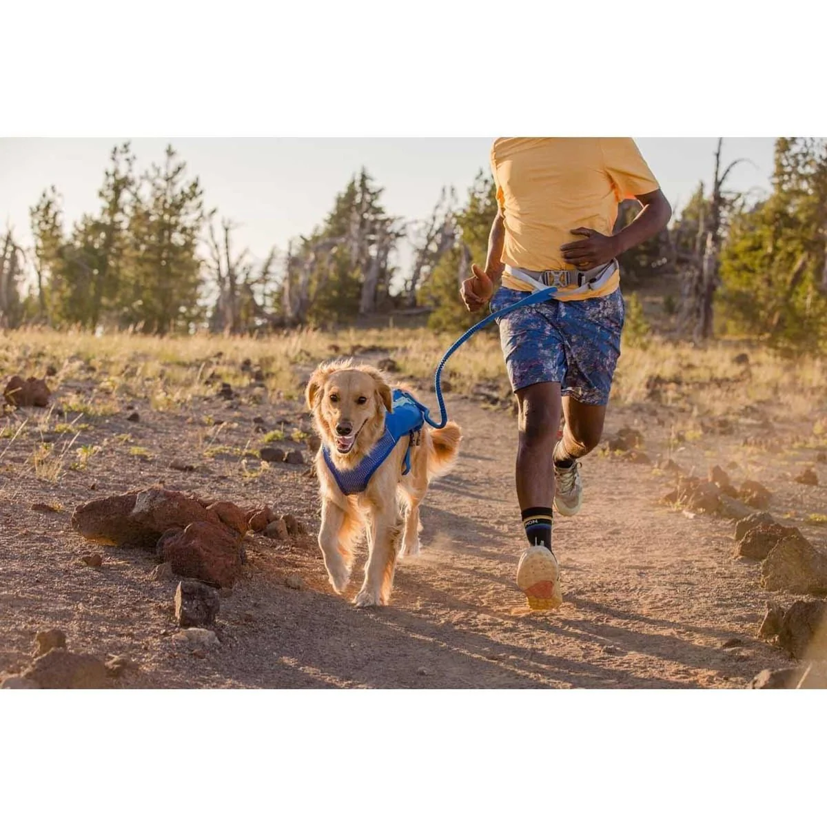 Ruffwear Trail Runner Belt in Blue Pool (L / XL) - Image 3