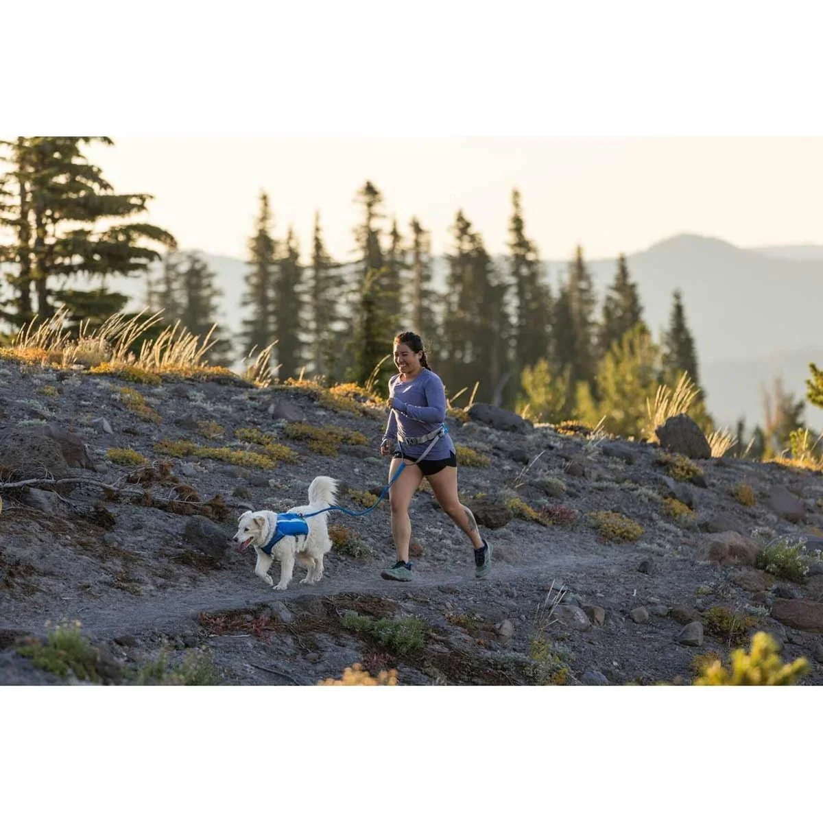 Ruffwear Trail Runner Belt in Blue Pool (Small / Medium) - Image 4