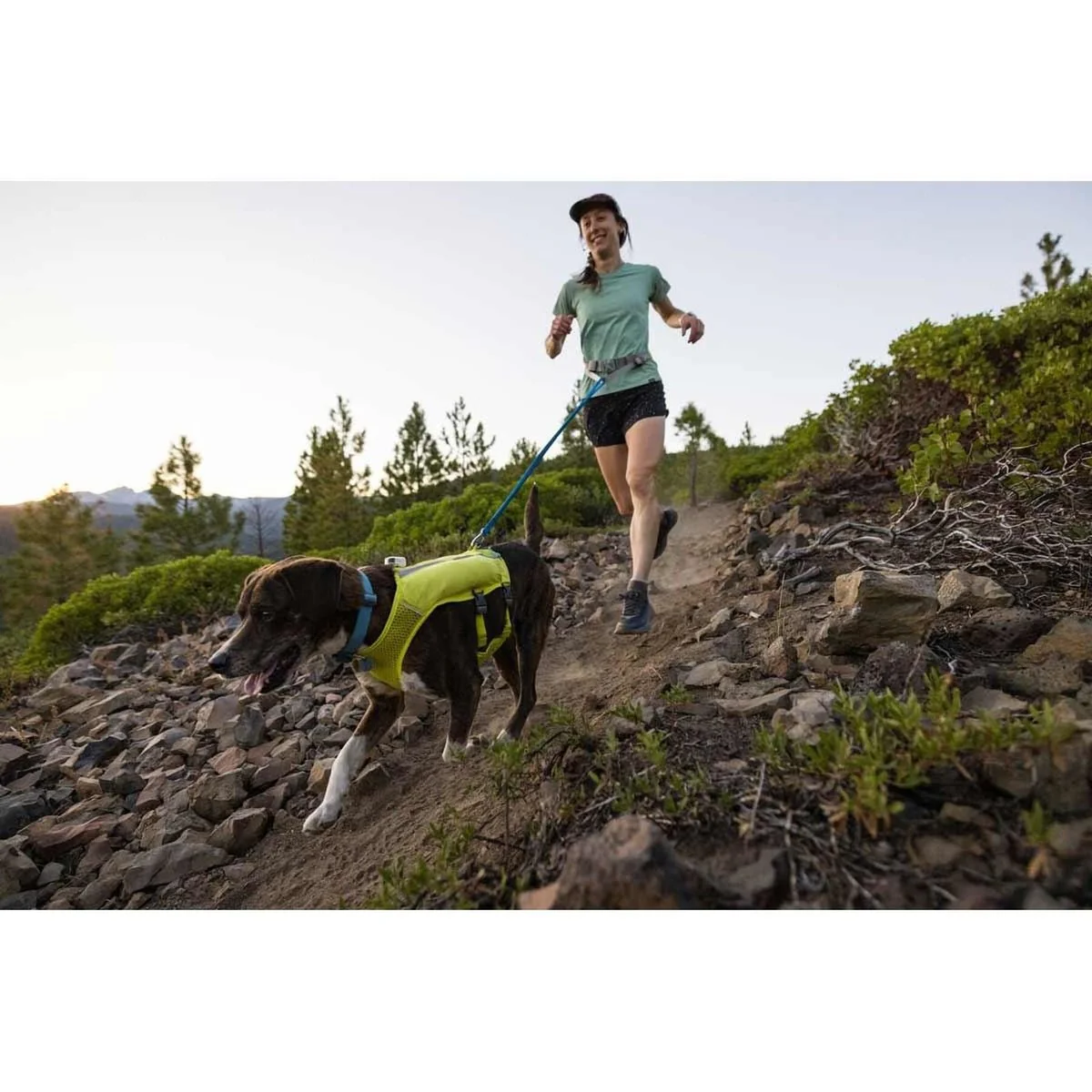 Ruffwear Trail Runner Dog Lead in Blue Pool (1 to 1.8 m) - Image 2