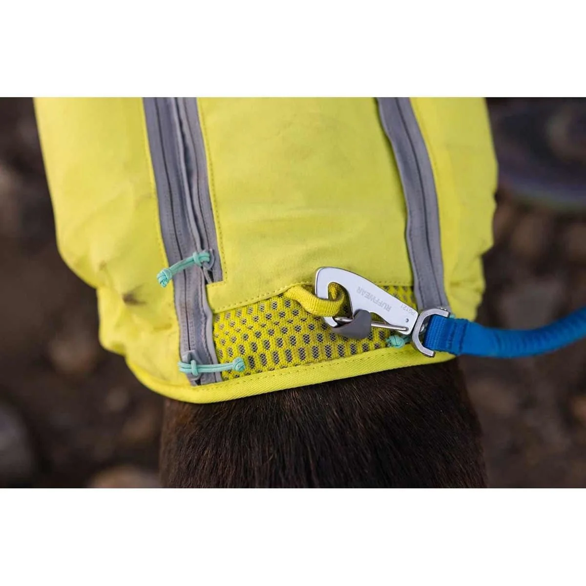 Ruffwear Trail Runner Dog Lead in Blue Pool (1 to 1.8 m) - Image 3