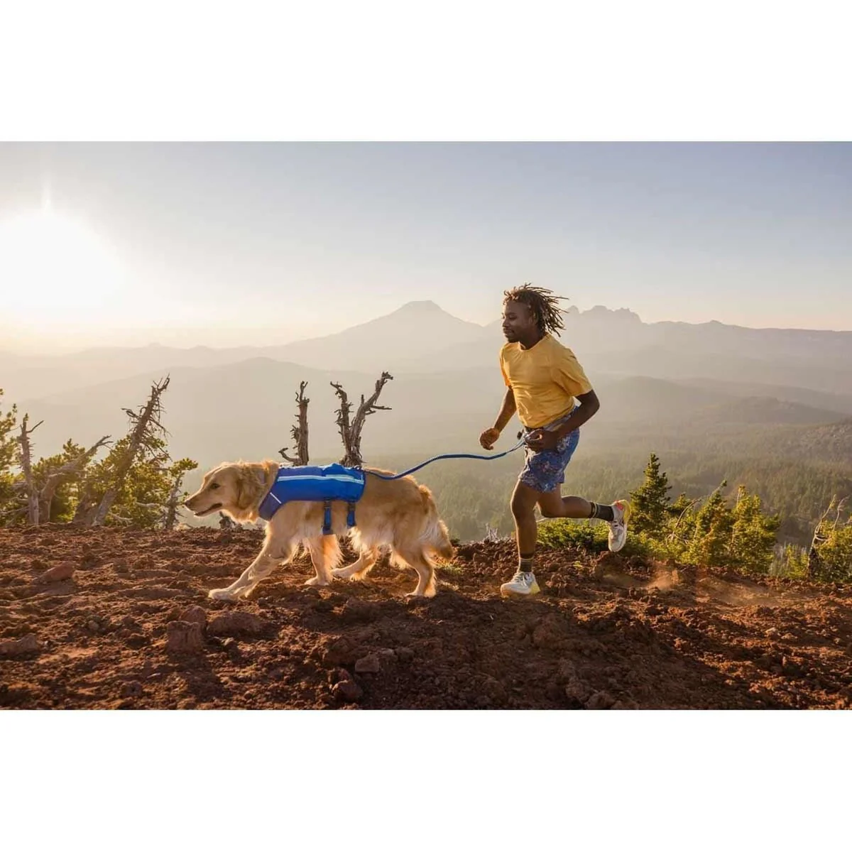 Ruffwear Trail Runner Dog Running Vest in Blue Pool (Small) - Image 2