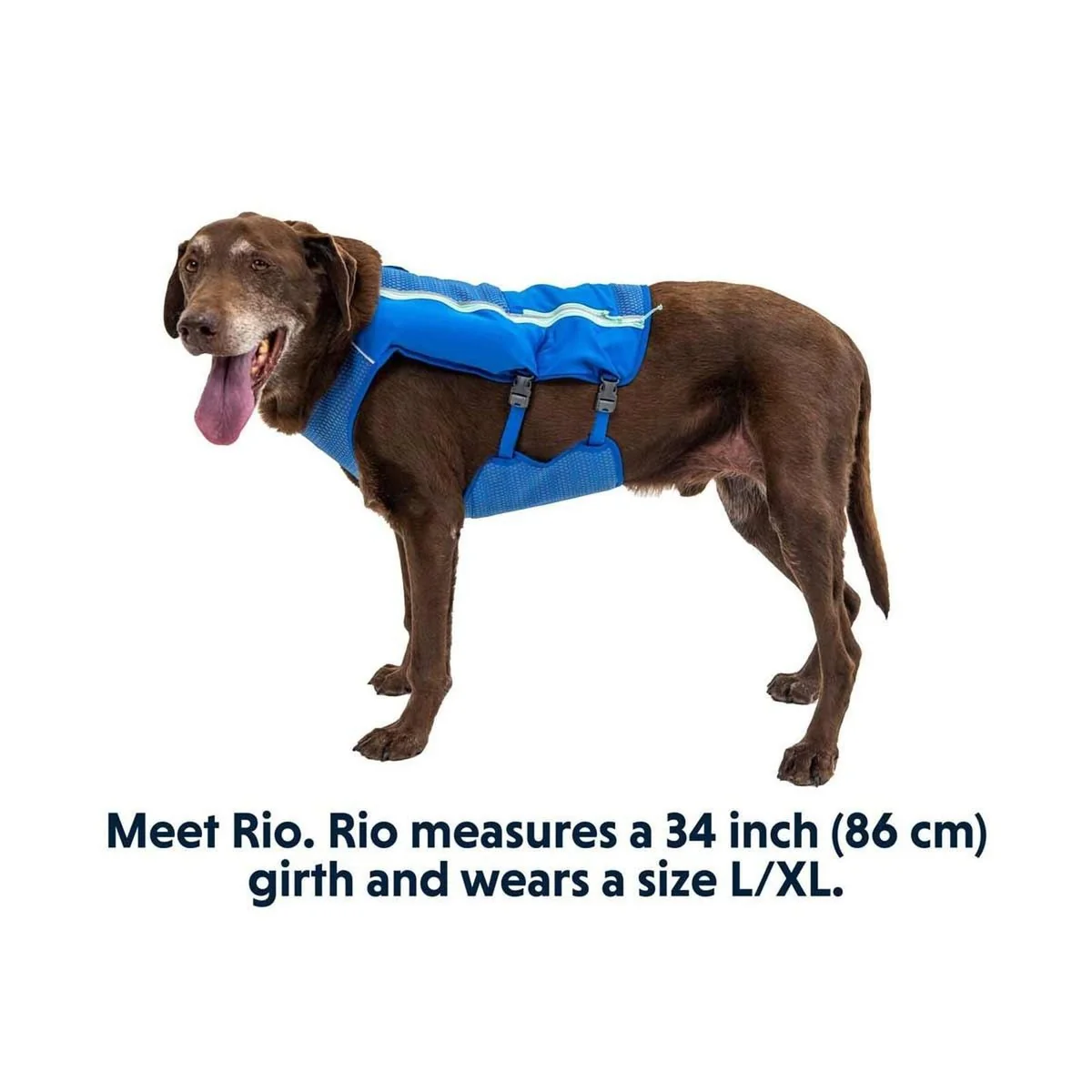 Ruffwear Trail Runner Dog Running Vest in Blue Pool (Small) - Image 3