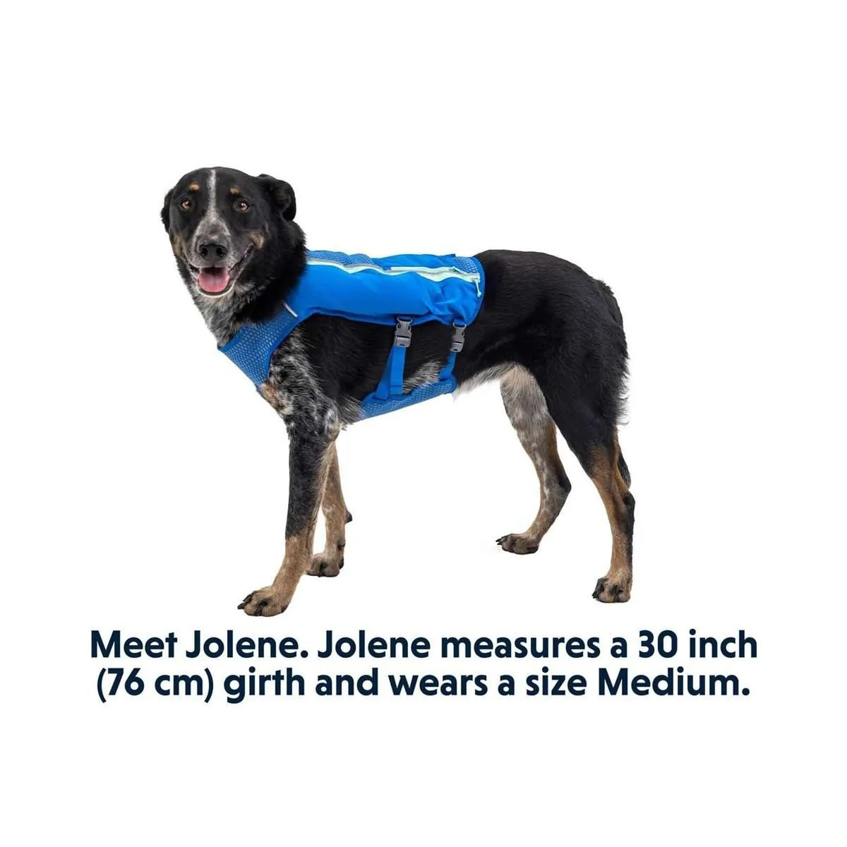 Ruffwear Trail Runner Dog Running Vest in Blue Pool (Small) - Image 4