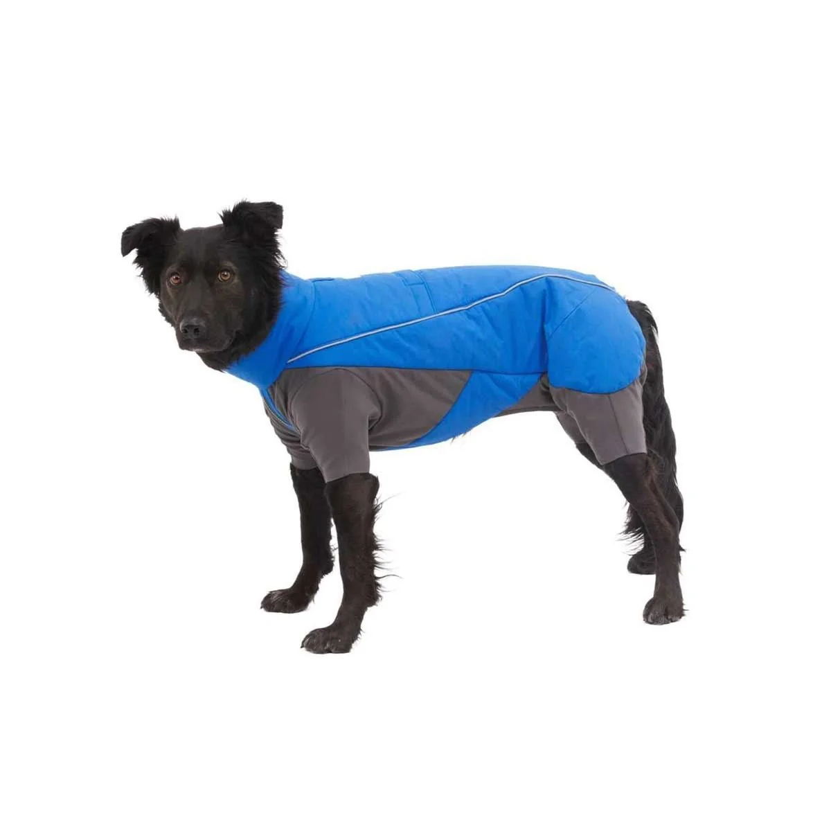 Ruffwear Vert Coverall Dog Snow Suit in Blue Pool (Large) - Image 6