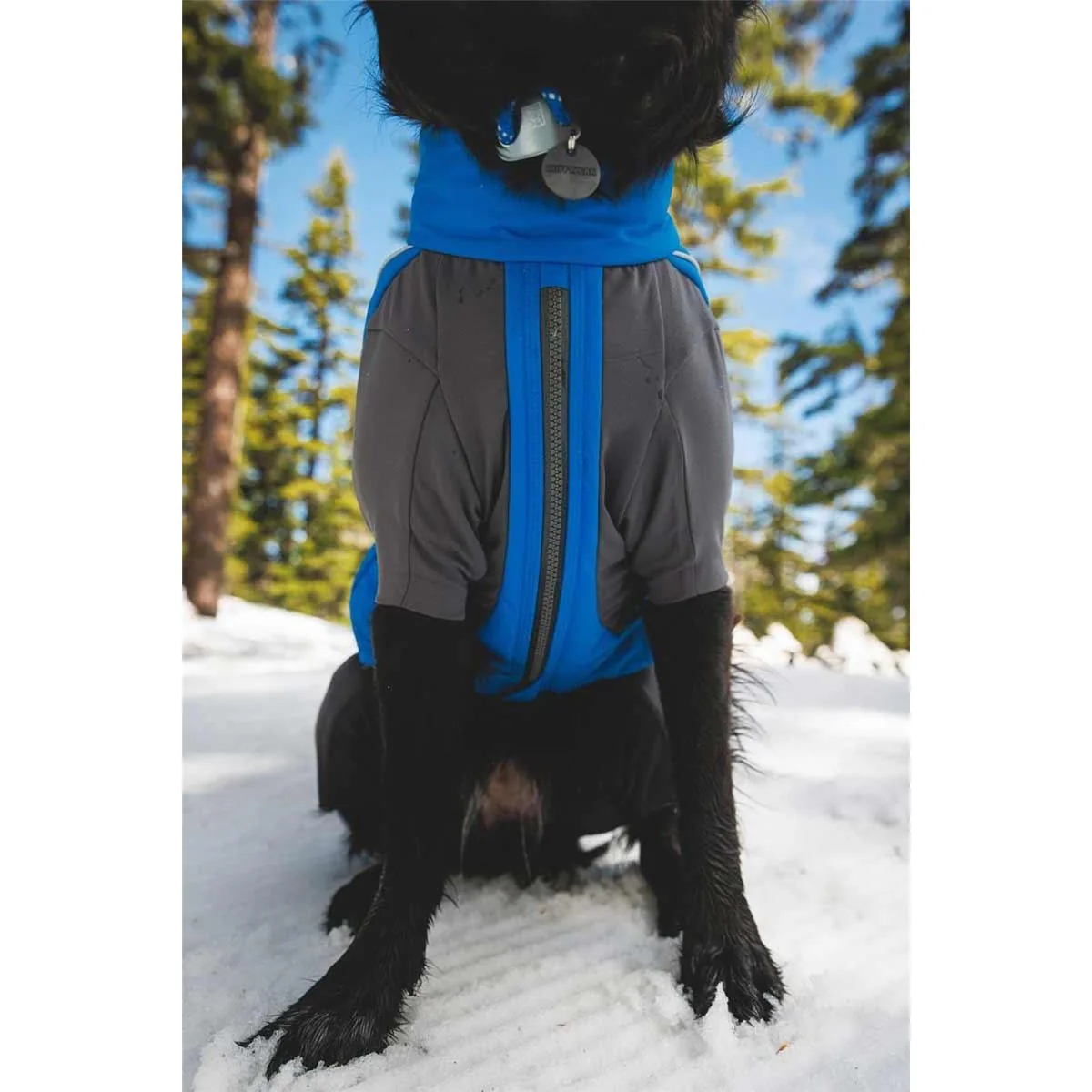 Ruffwear Vert Coverall Dog Snow Suit in Blue Pool (Medium) - Image 2