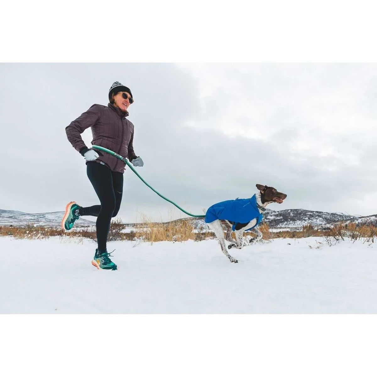 Ruffwear Vert Dog Jacket in Blue Pool (Large) - Image 3