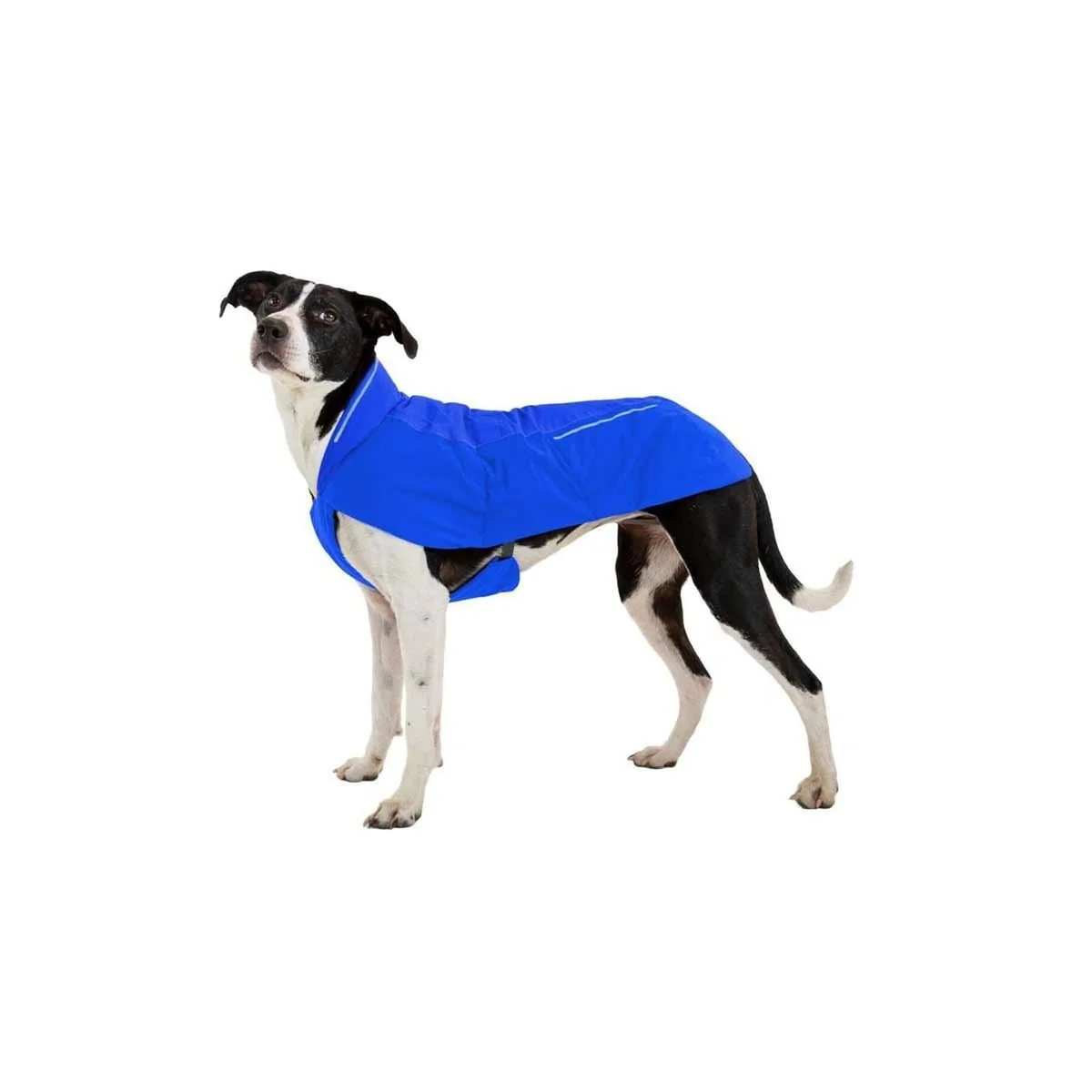 Ruffwear Vert Dog Jacket in Blue Pool (Large) - Image 8