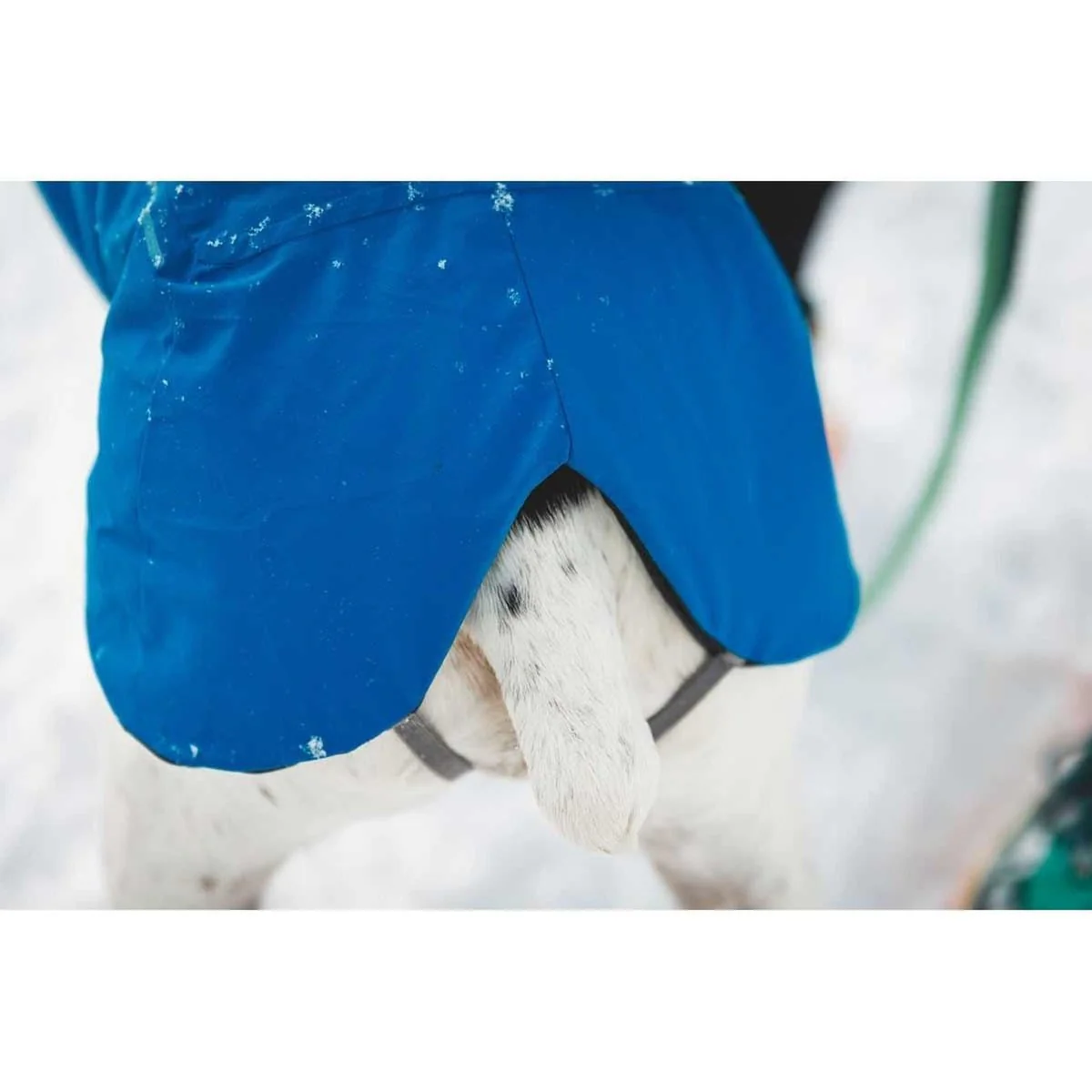 Ruffwear Vert Dog Jacket in Blue Pool (X Small) - Image 2