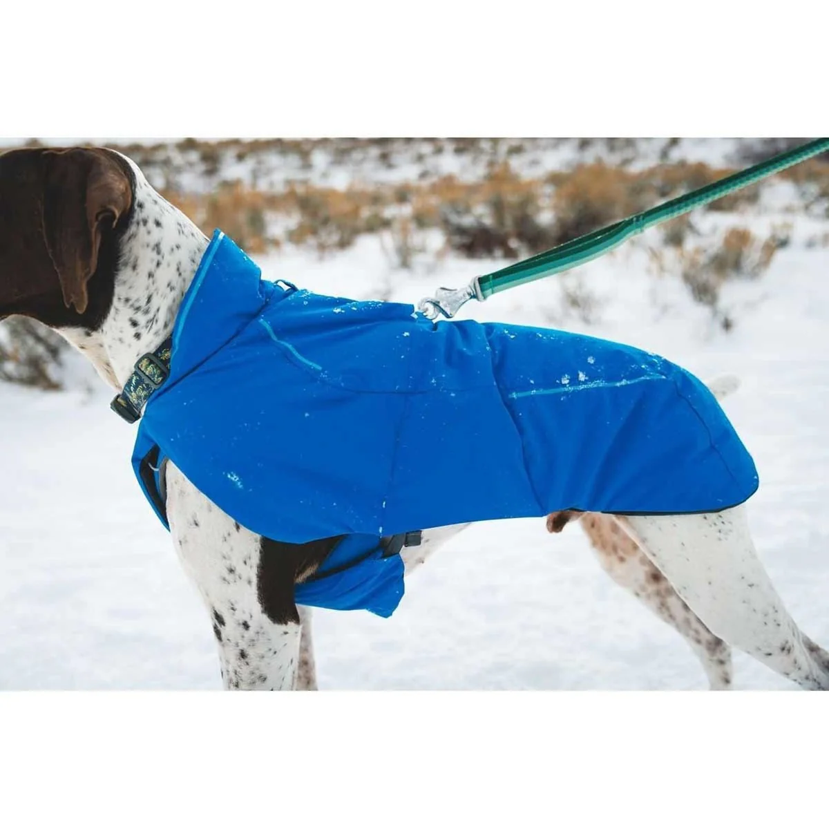 Ruffwear Vert Dog Jacket in Blue Pool (X Small) - Image 4