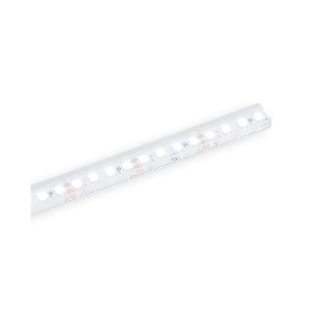 Strip Light Smd Led 5M 3000K