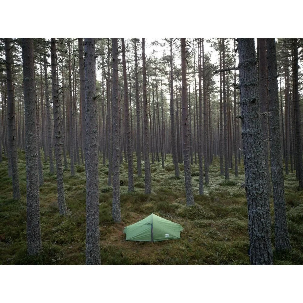 Vango Nevis 100 Pamir Green 1 Person Tent - Image 10
