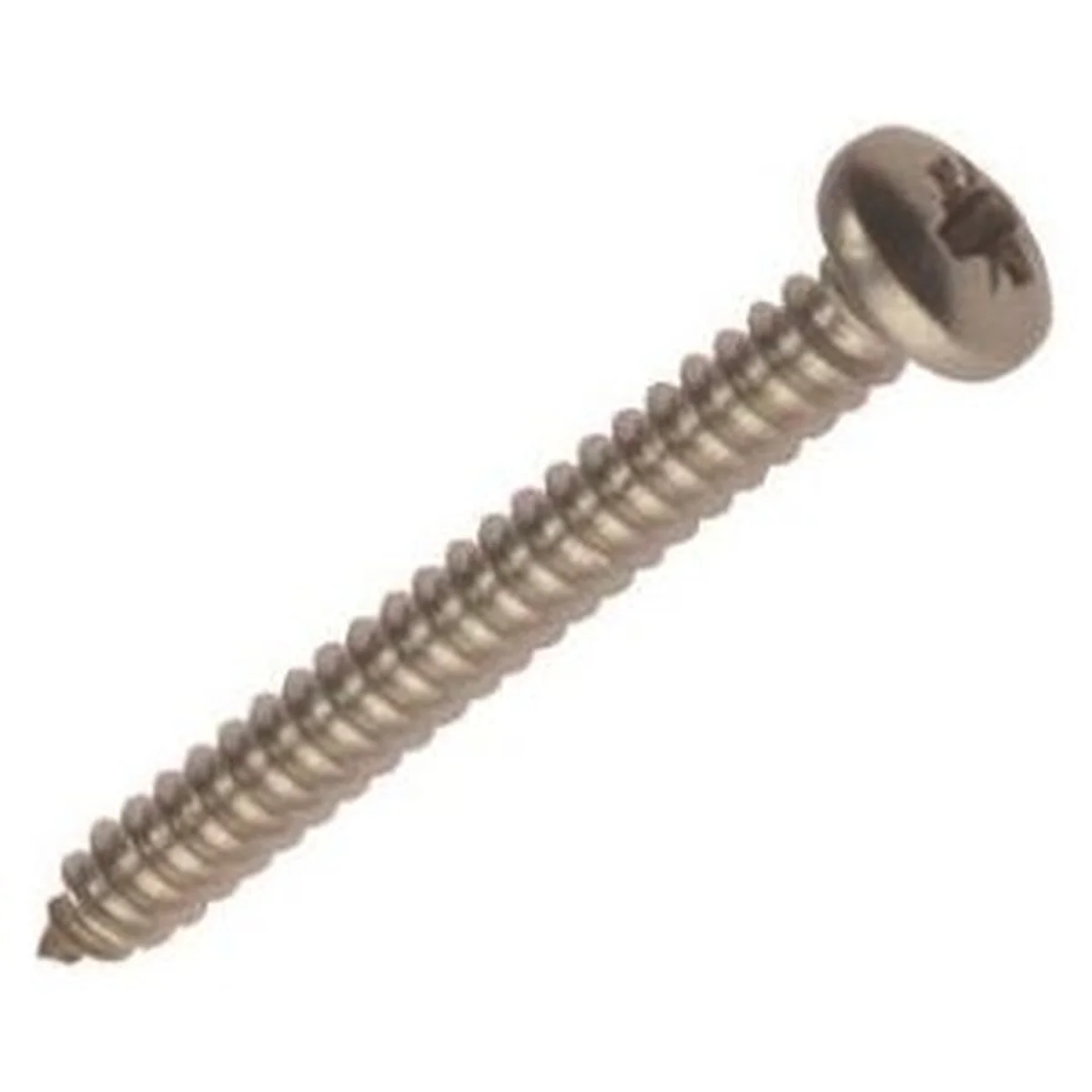 W4 No 10 Screw 1" S/Steel (5) 37724