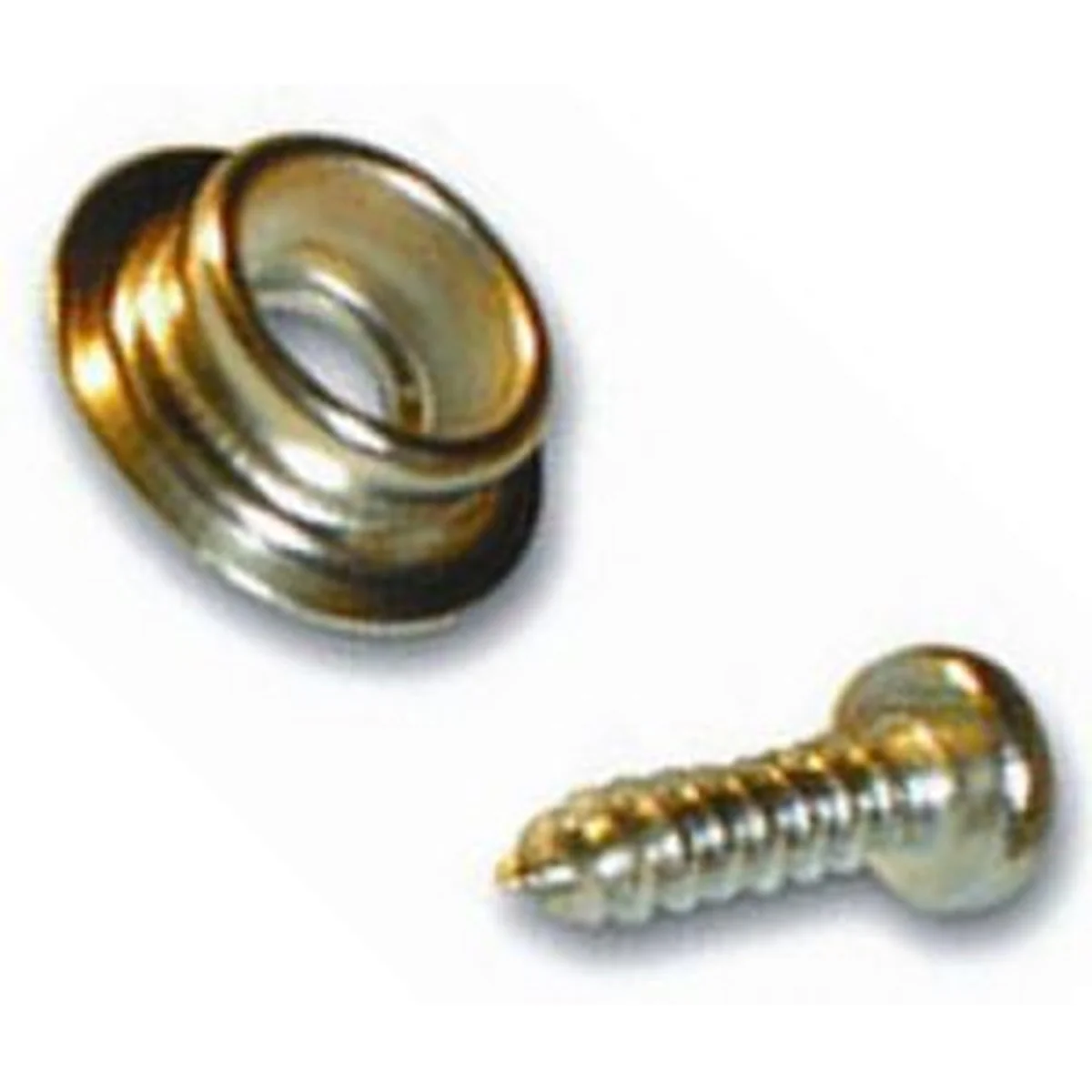 W4 Studs & Screws (5) 37661